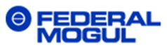 www.federalmogul.com